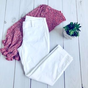 Ann Taylor White Trouser